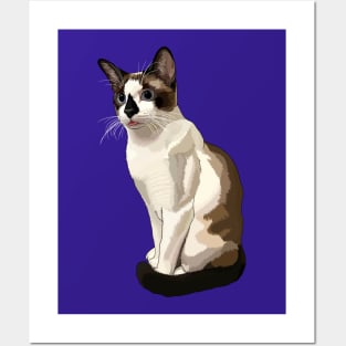 Seal Point Snowshoe Siamese Cat Blep Posters and Art